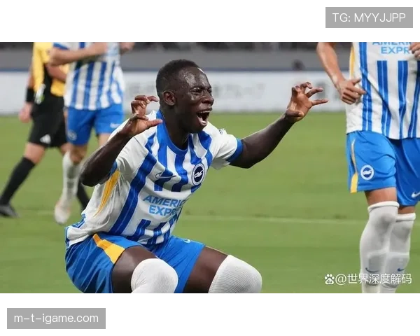 布莱顿引援成效显著，新援加盟助力球队表现亮眼